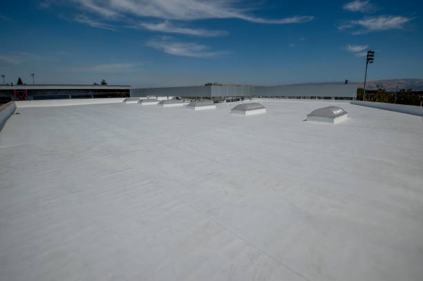 Best Roof Coating and Sealing  in Levittown, PA