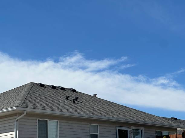 Best Sheet Metal Roofing  in Levittown, PA
